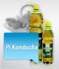 Pí Kombucha